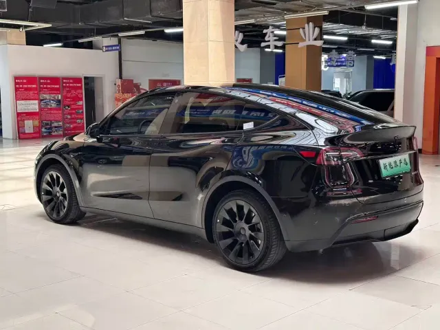 Tesla Model Y — Фото автомобиля 9