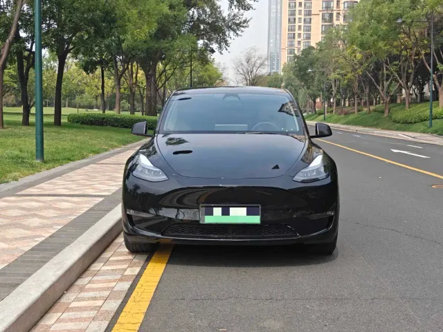 Tesla Model Y — Фото автомобиля 2