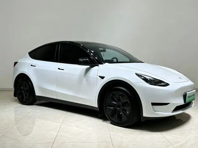 Tesla Model Y — Фото автомобиля 20