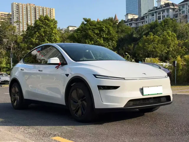 Tesla Model Y — Фото автомобиля 3