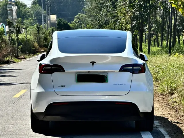 Tesla Model Y — Фото автомобиля 3