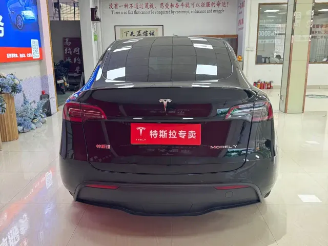 Tesla Model Y — Фото автомобиля 9