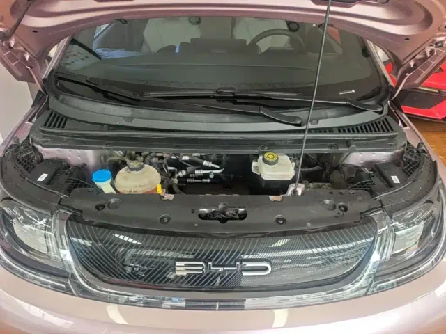 BYD Dolphin — Фото автомобиля 19