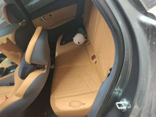 Geely Galaxy Starship 7 EM-i — Фото автомобиля 18