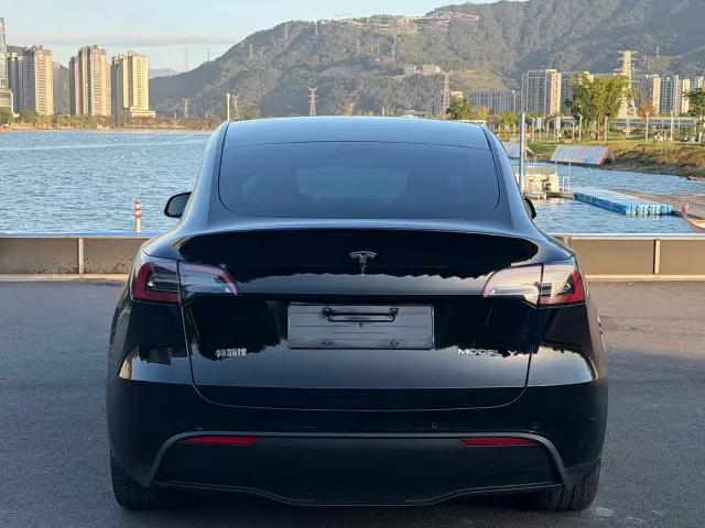 Tesla Model Y — Фото автомобиля 8