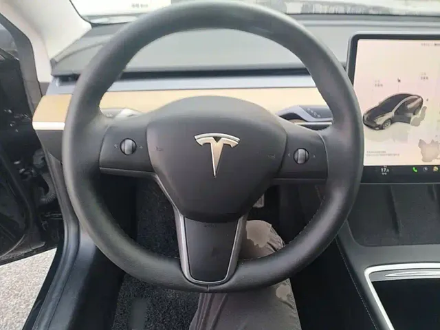 Tesla Model 3 — Фото автомобиля 10