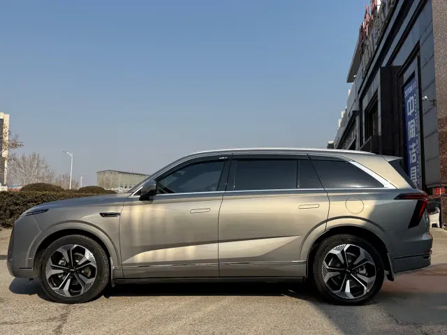 Wey Lanshan — Фото автомобиля 5