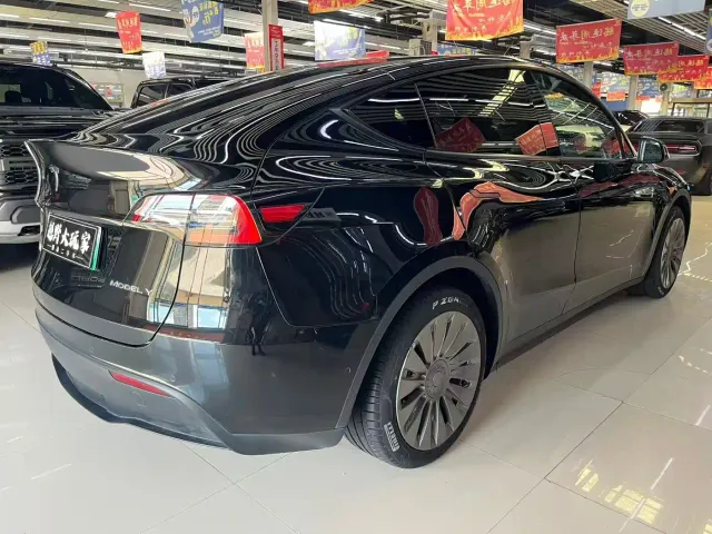 Tesla Model Y — Фото автомобиля 8
