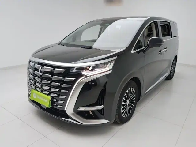 Фотография автомобиля — Denza D9