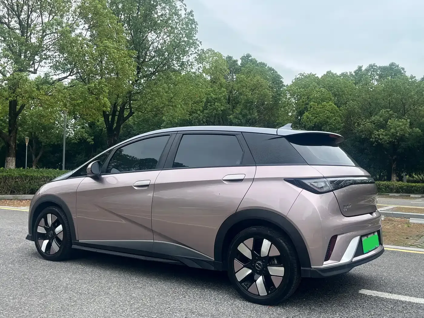 BYD Dolphin 2021 401km Knight Edition — Фото автомобиля 4