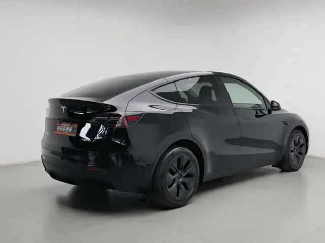 Tesla Model Y — Фото автомобиля 2