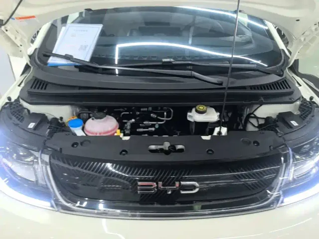 BYD Dolphin — Фото автомобиля 19