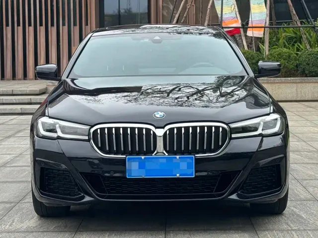 BMW 5 Series — Фото автомобиля 3