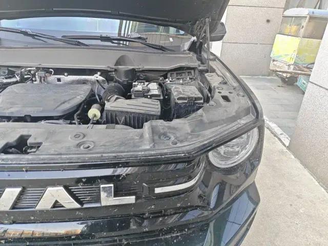 Haval Big Dog — Фото автомобиля 21