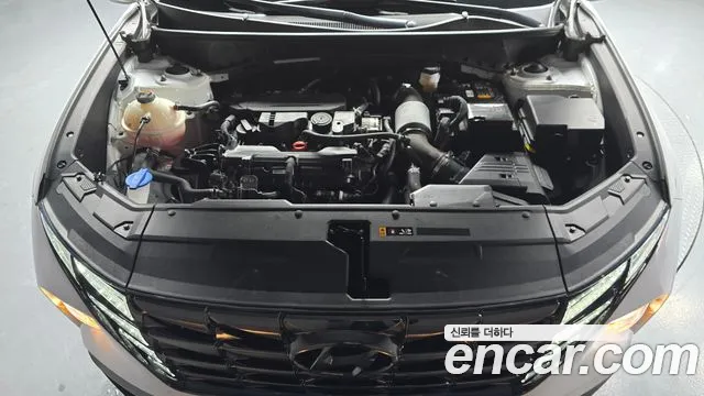 Hyundai Tucson Tucson (NX4) Бензин 1.6 турбо 2WD — Фото автомобиля 6