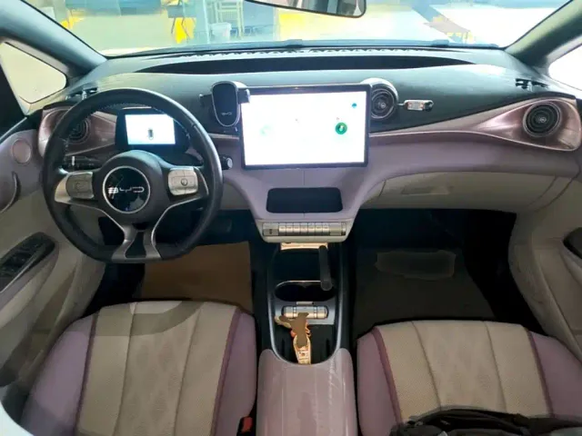 BYD Dolphin — Фото автомобиля 9