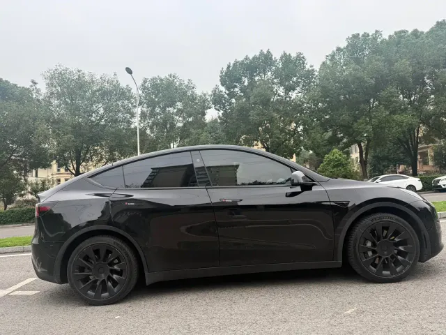 Tesla Model Y — Фото автомобиля 20