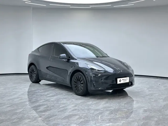 Tesla Model Y — Фото автомобиля 7