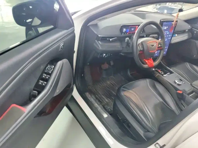 Ford Mustang Mach-E — Фото автомобиля 15