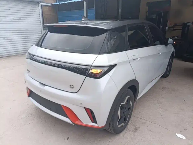 BYD Dolphin — Фото автомобиля 6