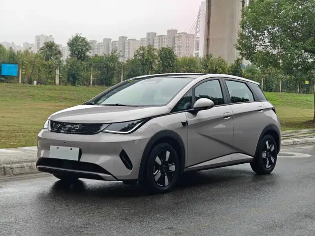 BYD Dolphin — Фото автомобиля 2