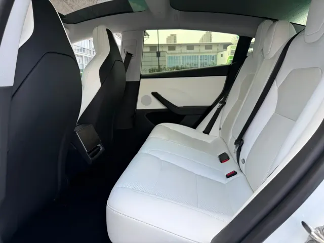 Tesla Model 3 — Фото автомобиля 21