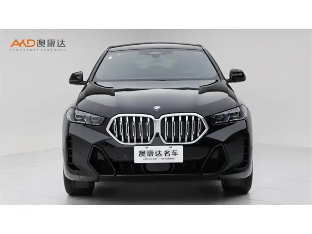 BMW X6 — Фото автомобиля 2