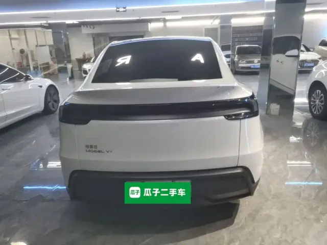 Tesla Model Y — Фото автомобиля 5