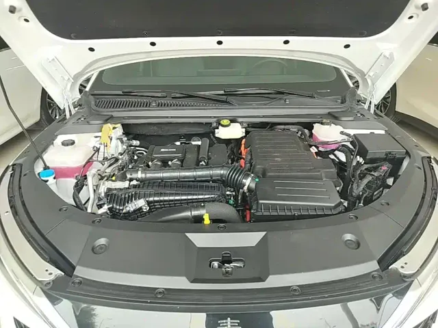 BYD Qin L — Фото автомобиля 19