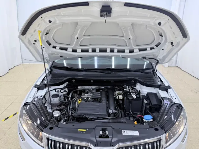Skoda Karoq — Фото автомобиля 19