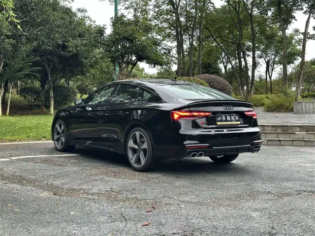 Audi S5 — Фото автомобиля 17