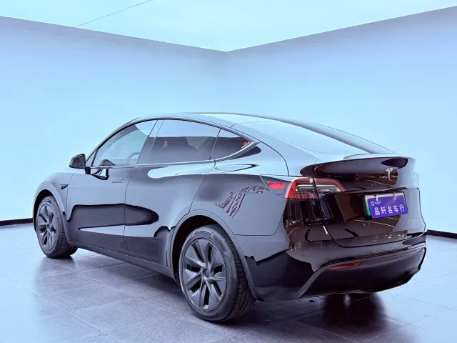 Tesla Model Y — Фото автомобиля 6