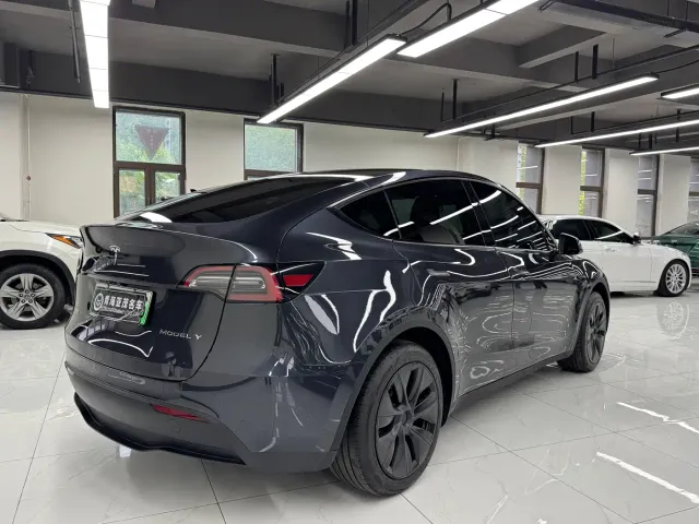 Tesla Model Y — Фото автомобиля 16