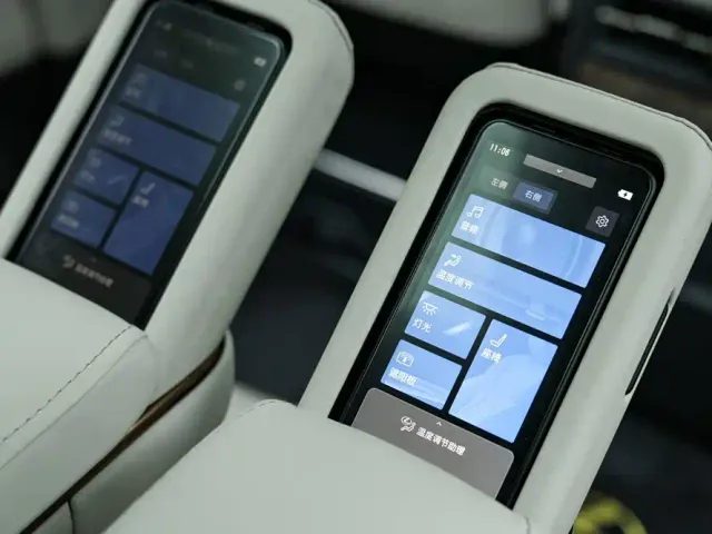 Lexus LM — Фото автомобиля 20