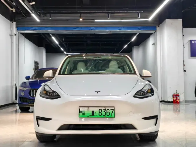 Tesla Model Y — Фото автомобиля 2