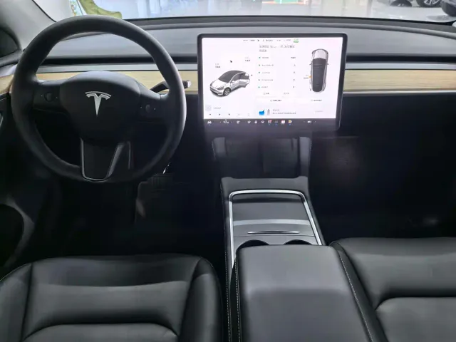 Tesla Model Y — Фото автомобиля 8