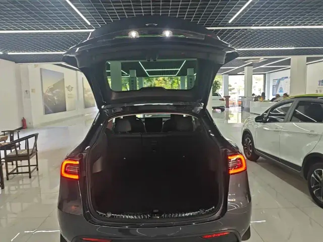 Tesla Model Y — Фото автомобиля 18