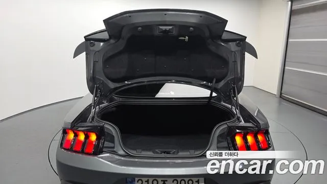Ford Mustang — Фото автомобиля 20
