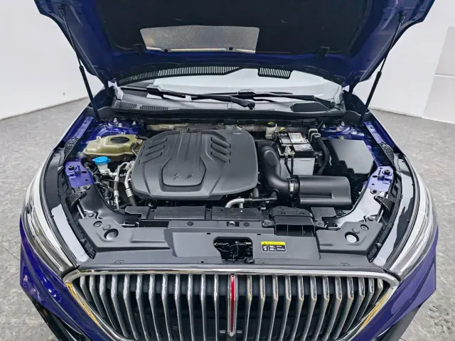 Hongqi H5 — Фото автомобиля 12