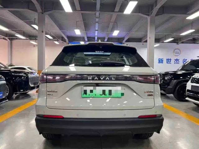 Haval Xiaolong MAX — Фото автомобиля 3