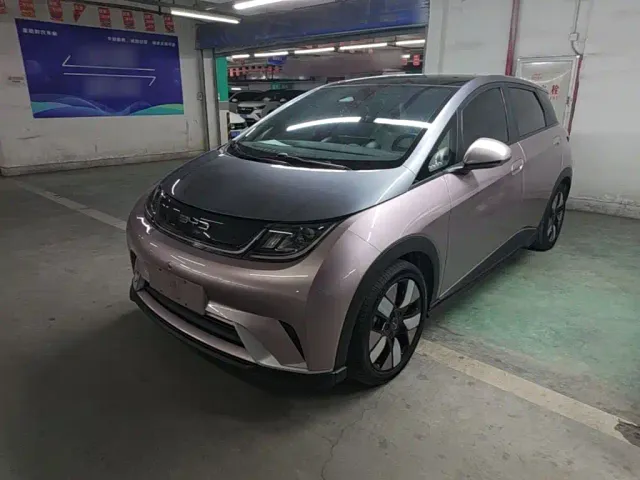 Фотография автомобиля — BYD Dolphin