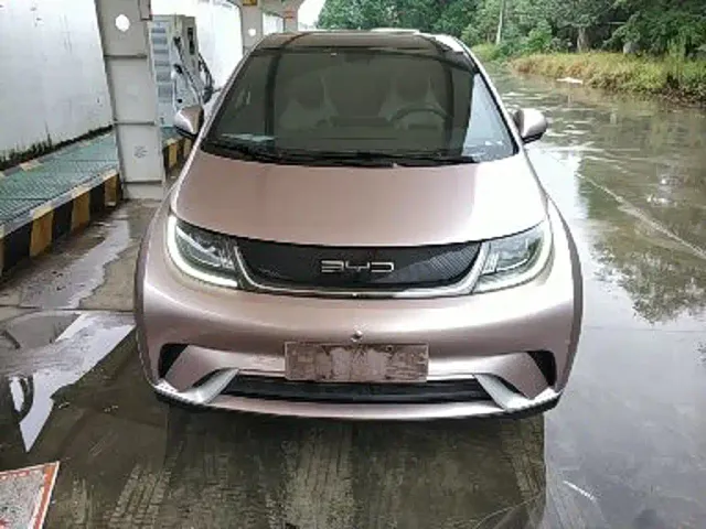 BYD Dolphin — Фото автомобиля 2