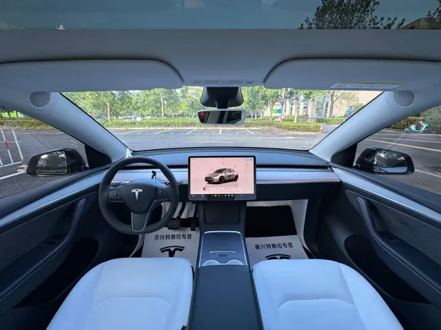 Tesla Model Y — Фото автомобиля 9