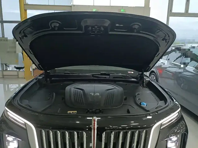 Hongqi E-HS9 — Фото автомобиля 19
