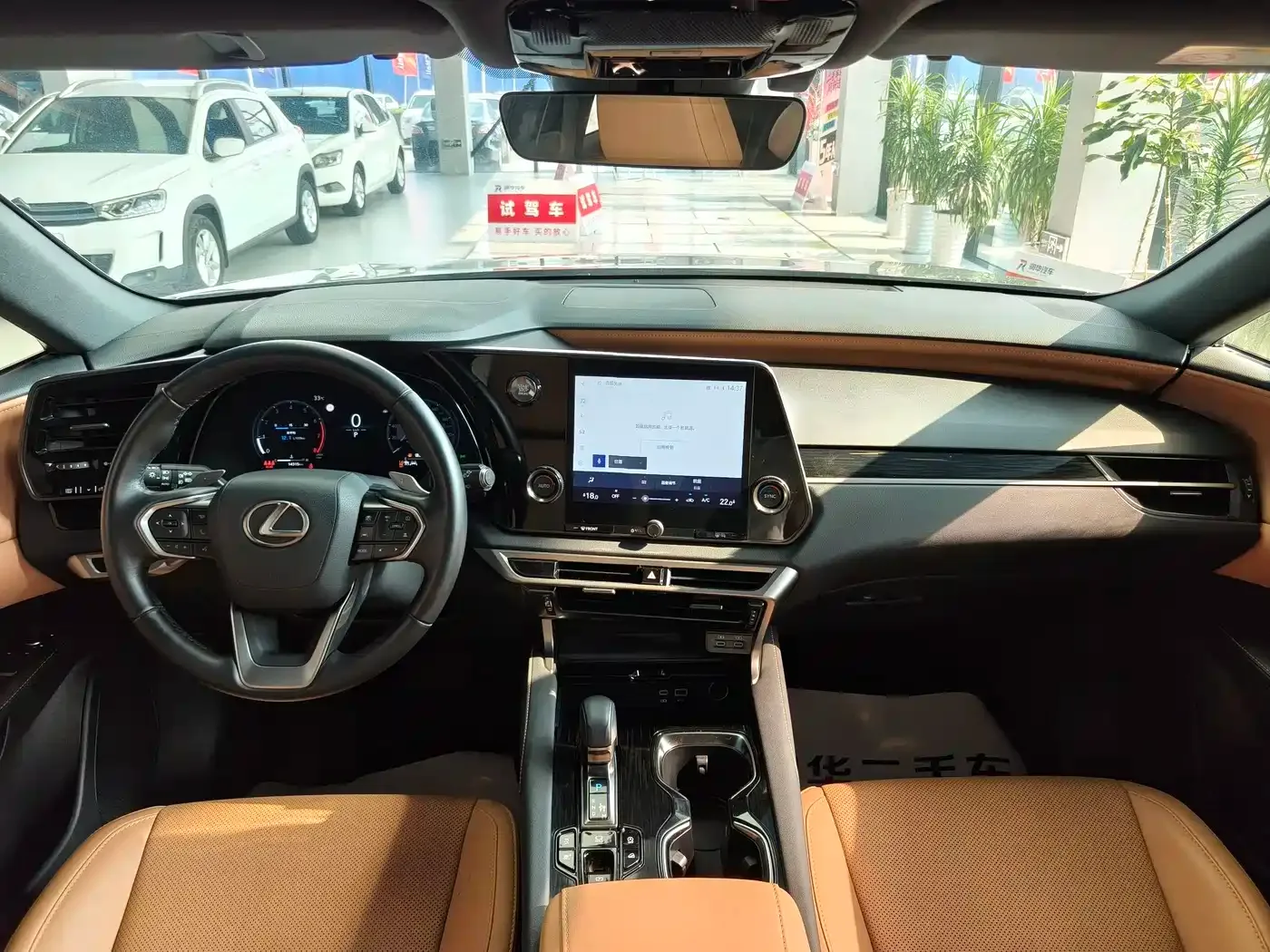 Lexus Lexus RX 2025 300 4WD Premium Edition — Фото автомобиля 10