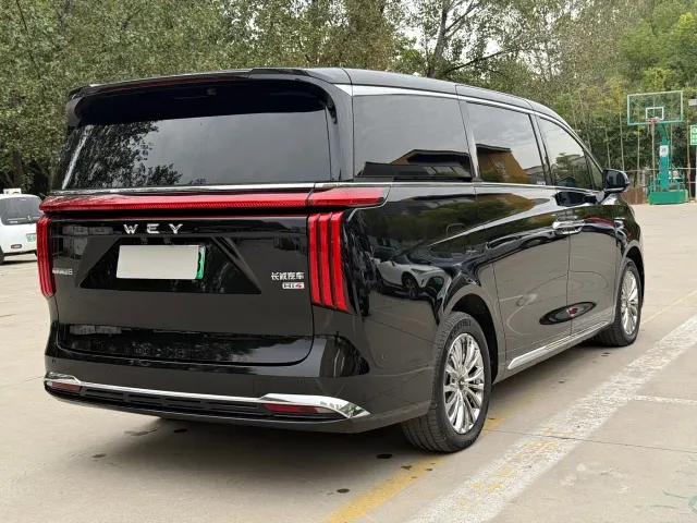 Wey Alpine — Фото автомобиля 7