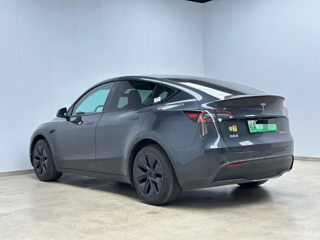 Tesla Model Y — Фото автомобиля 5