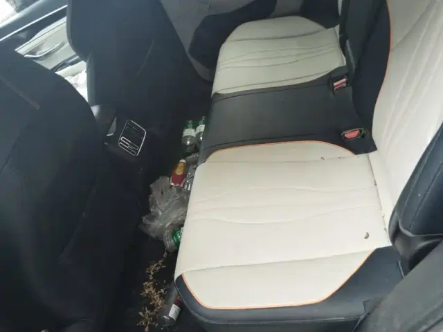 BYD Song PLUS — Фото автомобиля 11