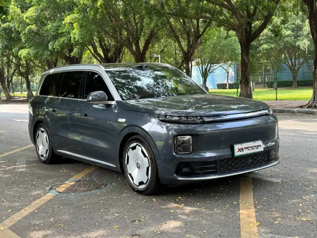 Leapmotor D Series — Фото автомобиля 3