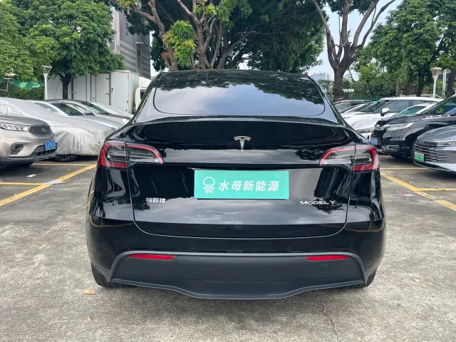 Tesla Model Y — Фото автомобиля 6